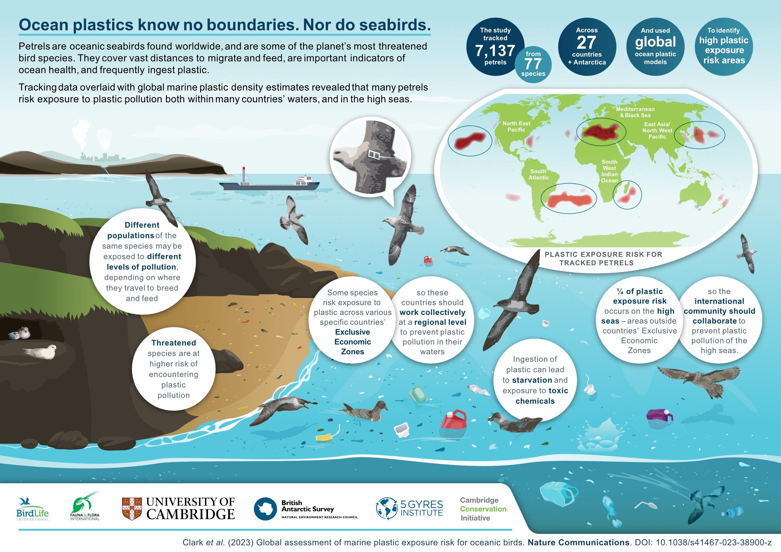 Global assessment of marine plastic exposure risk for oceanic birds