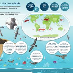 Global assessment of marine plastic exposure risk for oceanic birds