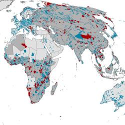 Geldmann et al 2019. Partial map of protected areas analysed in the study. Credit: the Authors